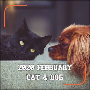 Dengarkan lagu Cat and Dog nyanyian Mel Son dengan lirik