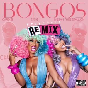 Listen to Bongos (Explicit) song with lyrics from Bang