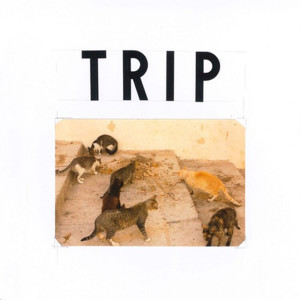 Album TRIP ASS (Explicit) from Miguel Grimaldo