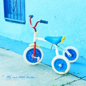 Listen to My cute little brother song with lyrics from 밀레나