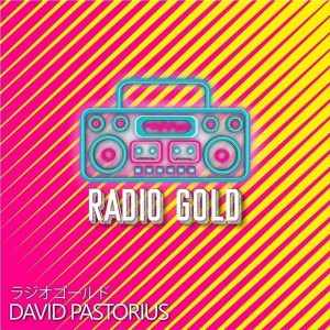 ดาวน์โหลดและฟังเพลง Pit Bike พร้อมเนื้อเพลงจาก David Pastorius