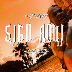 收聽momo black rd的SIGO AQUI歌詞歌曲