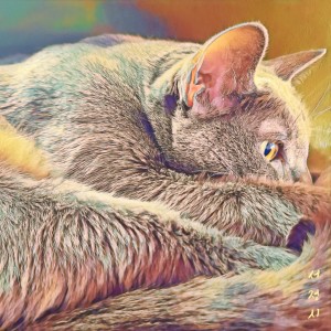 Listen to 홒(Feat. 박필규) song with lyrics from 서정시