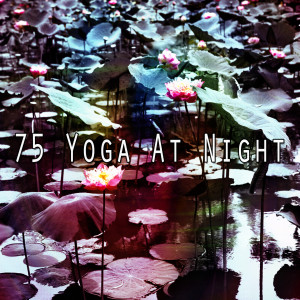 Listen to Stress Free song with lyrics from Yoga