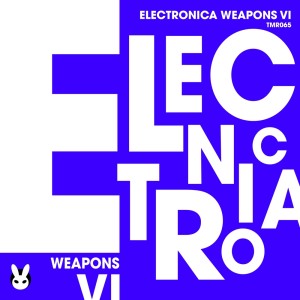 Various Artists的专辑Electronica Weapons VI