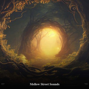 !!!!" Mellow Street Sounds "!!!!