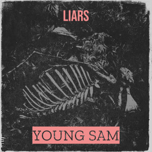 อัลบัม Liars (Explicit) ศิลปิน Young Sam