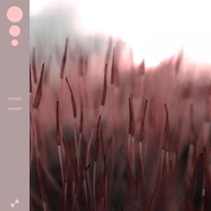 Listen to Sunset song with lyrics from noteaf