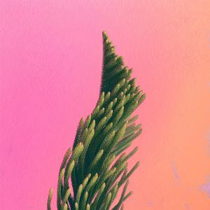 收聽Ateller的Got to Let Go歌詞歌曲