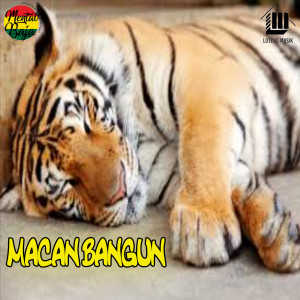 Listen to Macan Bangun song with lyrics from Mental Baja