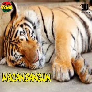 Album Macan Bangun from Mental Baja