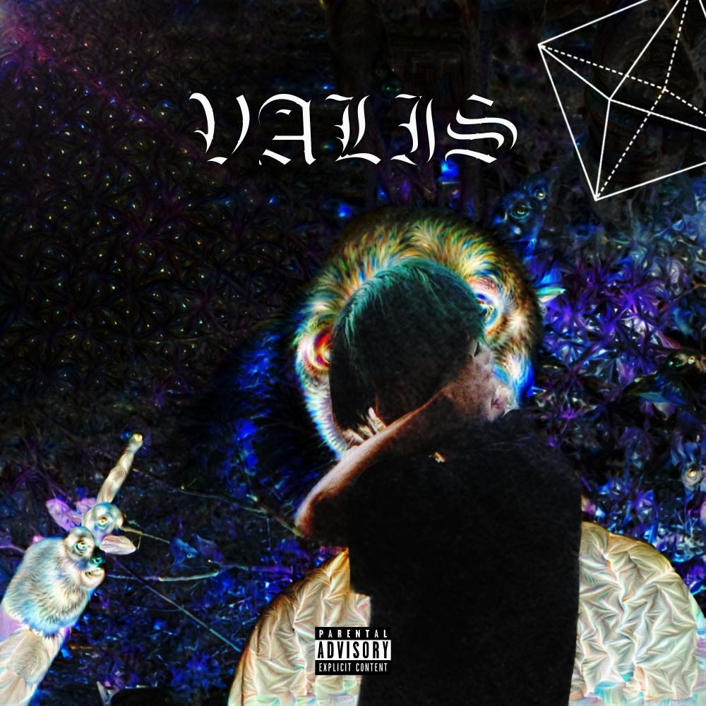 VALIS  (Explicit)