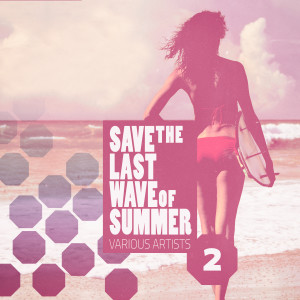 Album Save the last Wave of Summer, Vol. 2 (Deep & House Grooves) oleh Various