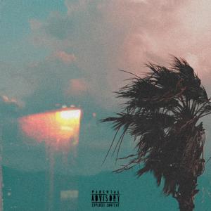 Listen to Palmetto (Explicit) song with lyrics from ALWAYSFOREVER