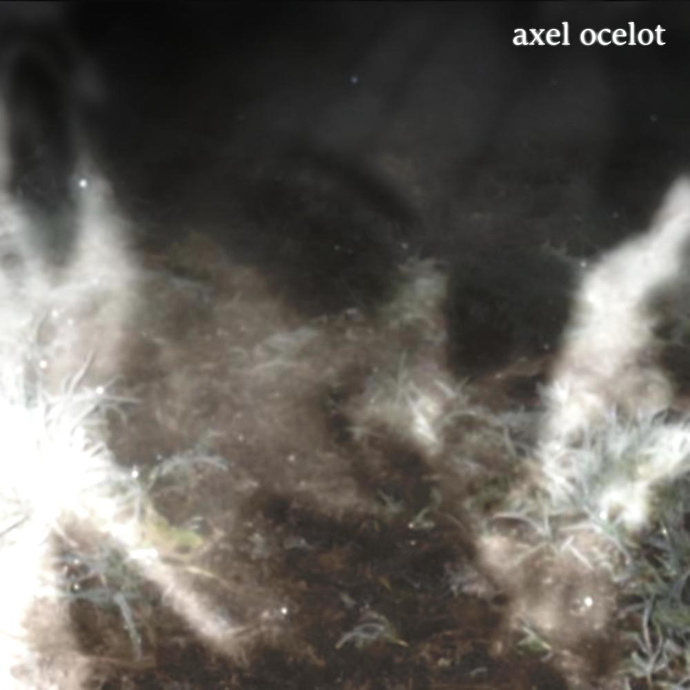axel ocelot (Explicit)