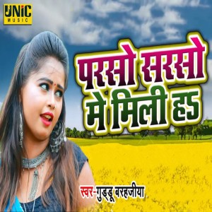 Listen to Parso Sarso Me Mili Ha song with lyrics from Guddu Barhajiya