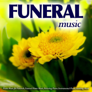 ดาวน์โหลดและฟังเพลง Canon in D - Pachelbel พร้อมเนื้อเพลงจาก Funeral Music