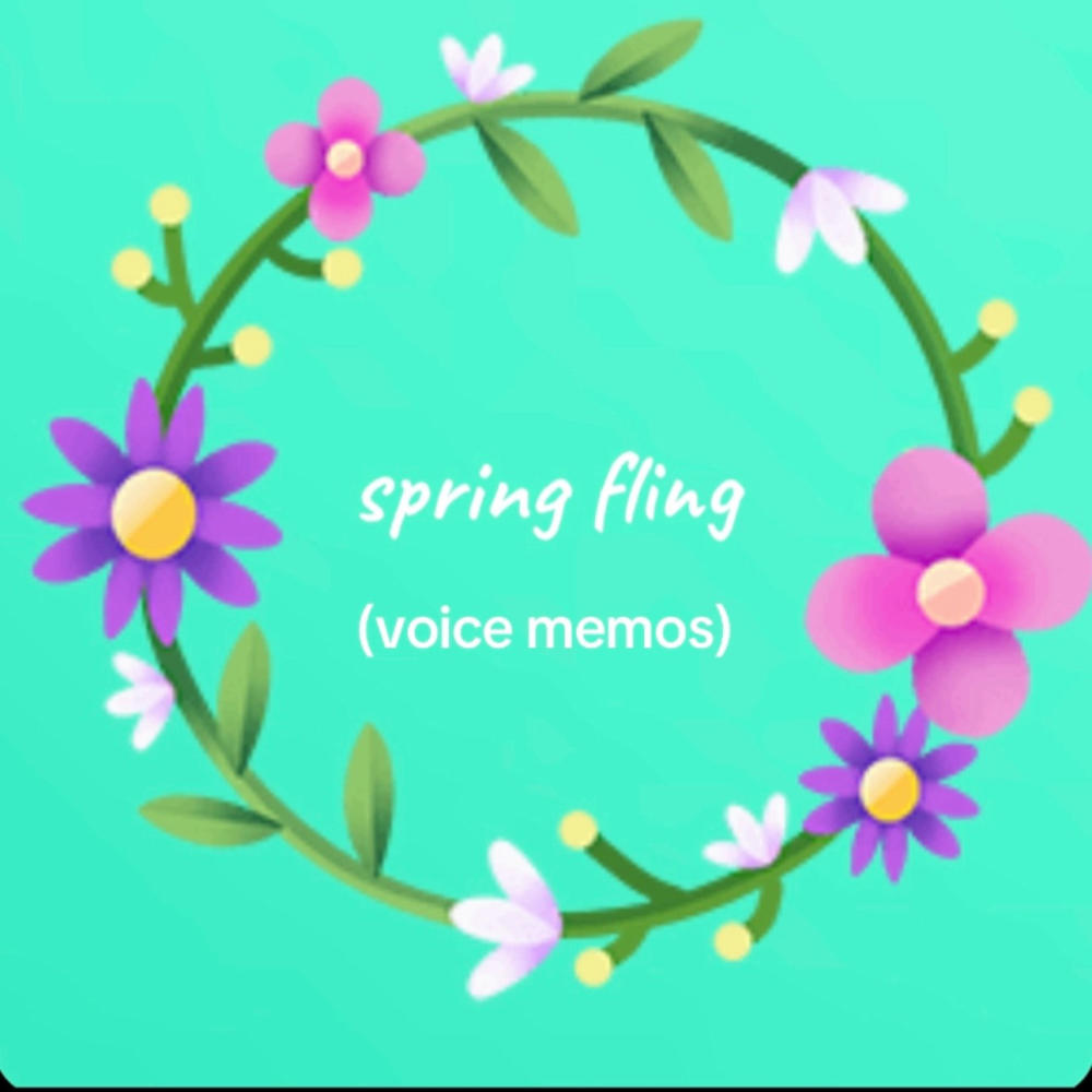 posters on my wall (voice memos)