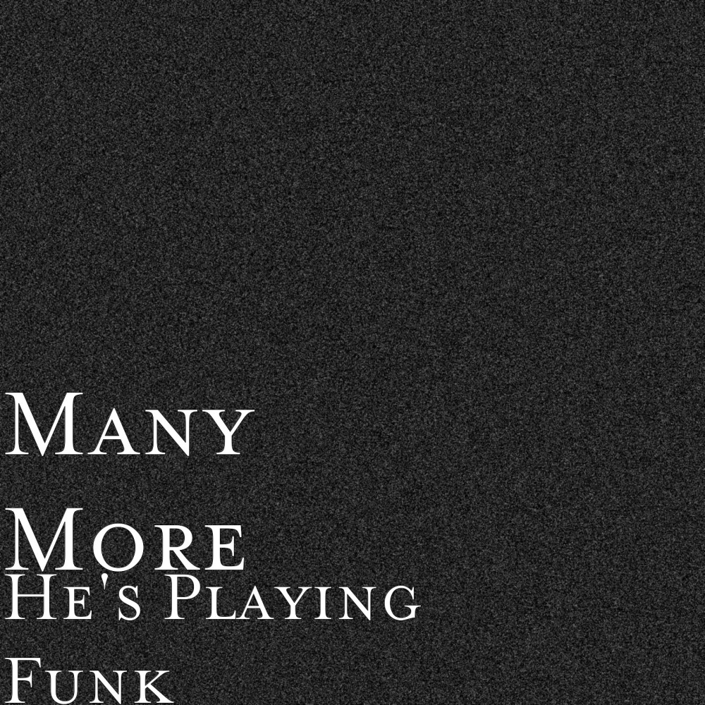 He's Playing Funk (Explicit)