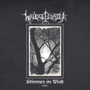收聽Waldgeflüster的Vintersjäl歌詞歌曲