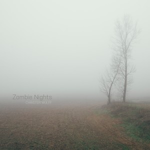 ดาวน์โหลดและฟังเพลง Zombie Nights พร้อมเนื้อเพลงจาก Christer Wulff