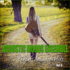 Dengarkan Fields Of Gold lagu dari Acoustic Moods Ensemble dengan lirik