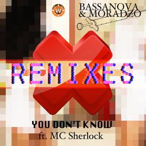 You Don't Know (Remixes) dari Bassanova