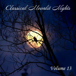 Listen to Adagio E Staccato song with lyrics from Concertgebouw Orchestra