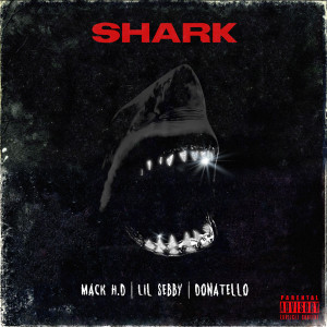 Listen to Shark (Explicit) song with lyrics from Mack H.D