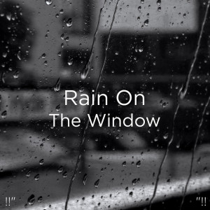 Dengarkan lagu Rain Sound nyanyian Meditation Rain Sounds dengan lirik