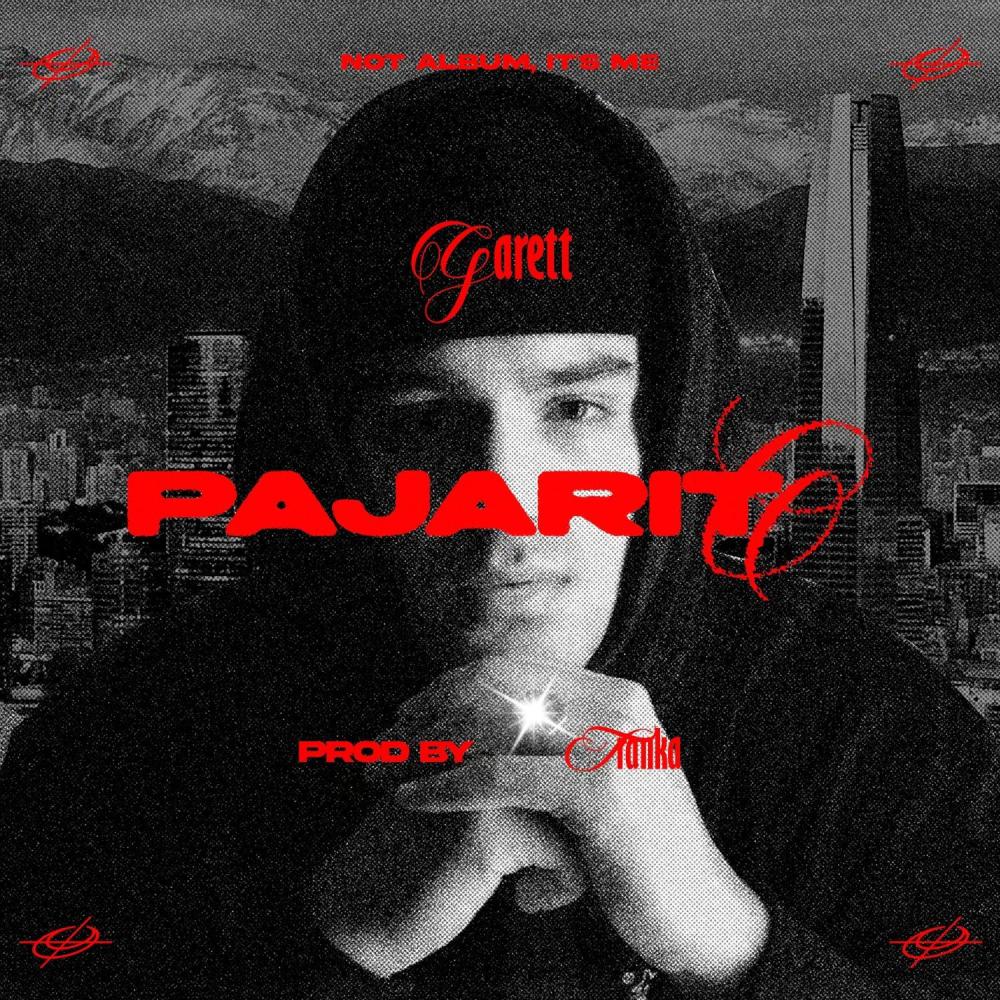 PAJARIT0 (Explicit)