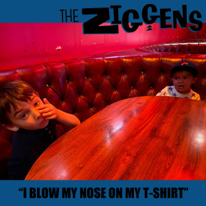 I Blow My Nose on My T-Shirt dari The Ziggens