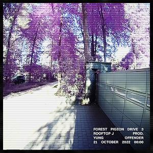 收聽Rooftop J的Forest Pigeon Drive 3 (Explicit)歌詞歌曲