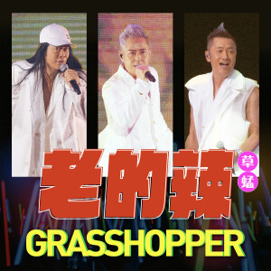 收聽草蜢的老的辣歌詞歌曲