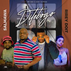 收聽Salmawa的DITEBOGO (feat. VUSI ALPHAA & MR DES)歌詞歌曲