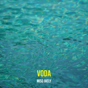 Listen to Voda song with lyrics from Mišo Biely