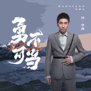 Listen to 勇不可当 song with lyrics from 沙宝亮