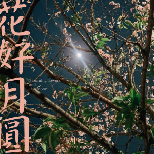 อัลบัม 花好月圆 ศิลปิน 周迅