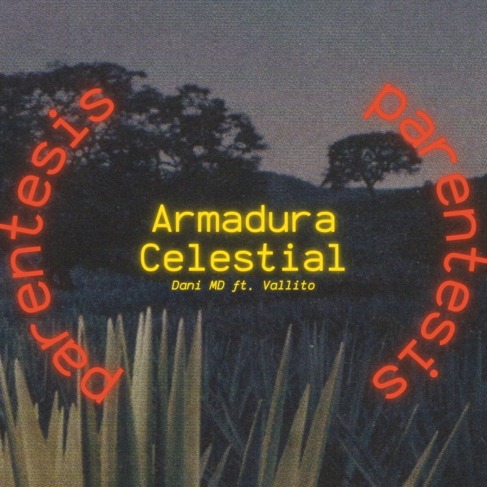 Paréntesis:Armadura Celestial