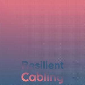 收听Flen Pello的Resilient Cabling歌词歌曲