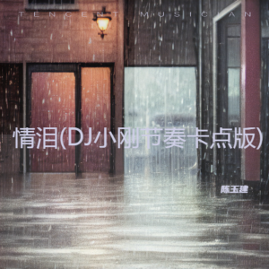 陈玉建的专辑情泪(DJ小刚节奏卡点版)