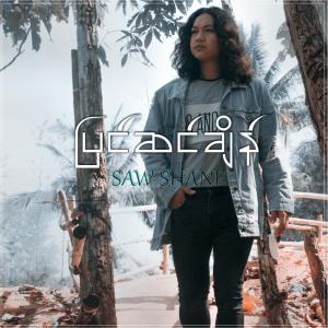 Album Pyin Sin Chain oleh Saw Shane