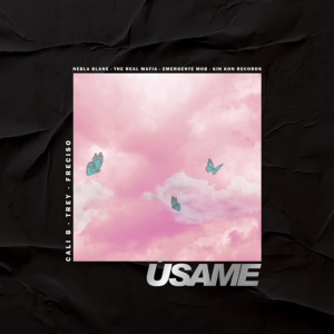 ดาวน์โหลดและฟังเพลง Úsame พร้อมเนื้อเพลงจาก Trey