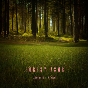 Album Forest ASMR from J.Roomy