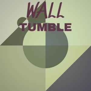 Various的专辑Wall Tumble