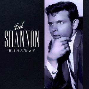 ดาวน์โหลดและฟังเพลง Go Away Little Girl พร้อมเนื้อเพลงจาก Del Shannon