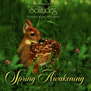 ดาวน์โหลดและฟังเพลง Teeming with Life พร้อมเนื้อเพลงจาก Dan Gibson's Solitudes