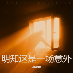 Listen to 明知这是一场意外 你要不要来 (小弑神 remix) (Remix) song with lyrics from 小弑神