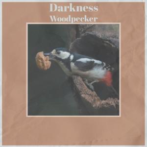 Listen to Darkness Woodpecker song with lyrics from TISS