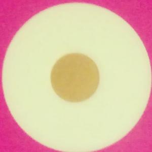 Dengarkan Life (Explicit) lagu dari Render dengan lirik